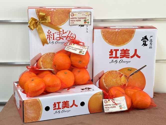CHinese NY03